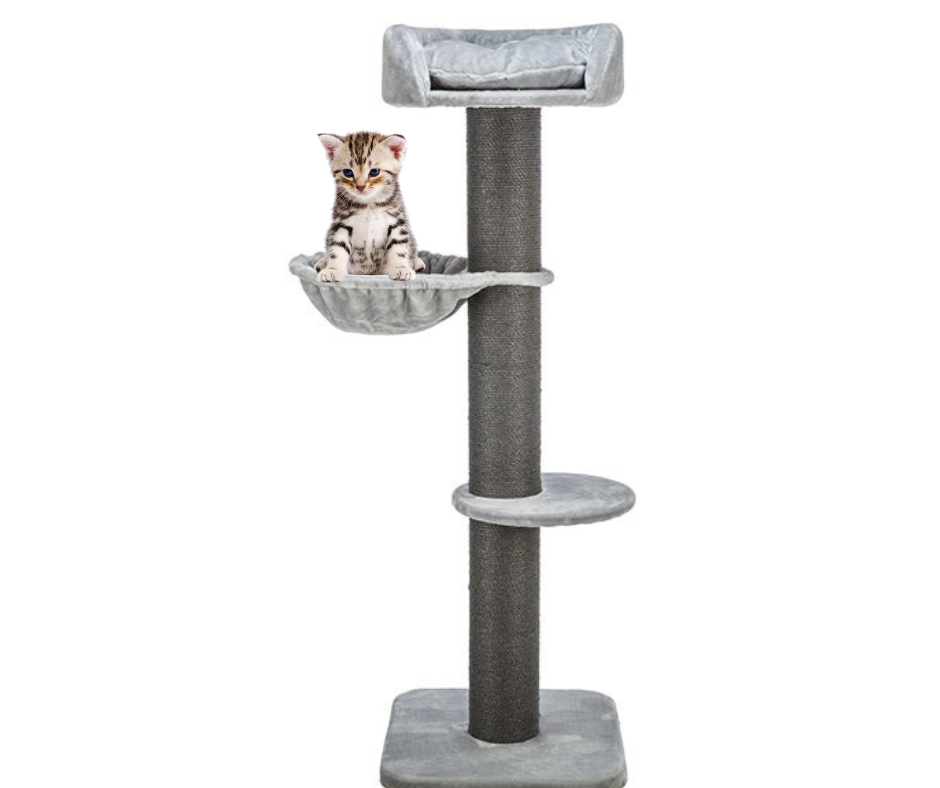 TRIXIE Škrabadlo MAURO XXL, 58 x 58 cm /173 cm, šedá